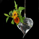 Vase de Fleur Plante Suspendu en Verre Conteneur Accessoire Cadeau Decor Jardin Maison