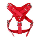 PU Leather Adjustable Chest Strap Dog Puppy Harness Safety Belt Pet Supplies Red