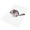 Plastic Environment Friendly Comfortable Cage Plate Hole Mat Dog Rabbit Walking Equipment Pet Supplies White 38x25cm