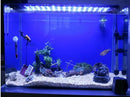 Durable Non-Toxic Resin Aquarium Fish Tank Air-Operated Decoration 9.45 x 2.17 4.13inch