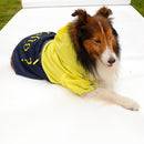 Lightweight PU Leather 3 Buttons Easy Pull Over Style Dog Puppy Raincoat Poncho Pet Supplies Yellow + Dark Blue L