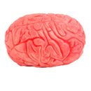 Soft Rubber Realistic Human Brain Haunted House Halloween Party Photography Props Decor