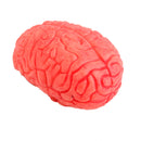 Soft Rubber Realistic Human Brain Haunted House Halloween Party Photography Props Decor