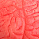 Soft Rubber Realistic Human Brain Haunted House Halloween Party Photography Props Decor
