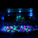 Acrylic LED Aquarium Fish Tank Isolation Box Hatchery Incubator Box Crystal Purple 28x10x15cm