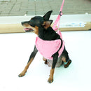 Set Of Lightweight Breathable Cotton Strawberry Round Dot Design Dog Harness Leash Rose Red M