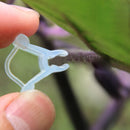 100pcs Gardening Grafting Clips for Vegetable Fruit Vine Flower Plants