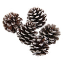 9pcs Christmas Pine Cones Baubles Xmas Tree Party Hanging Decorations