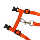 Set Of Nylon Breathable Comfortable Cat Large Adjustable I-Shaped Harness With Leash Orange