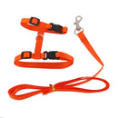 Set Of Nylon Breathable Comfortable Cat Large Adjustable I-Shaped Harness With Leash Orange