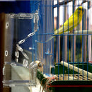 Pet Treat Foraging Toys Hunt Parrot Bird Cage Feeder Budgie M Single Hopper