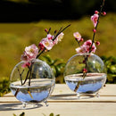 Table Decor Glass Flower Planter Vase Terrarium Container Home Garden Ball Shape