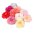Artificial Camellia Flower Heads Silk Rose Hair Clip Wedding Party Decor Red Pack Of 10PCS