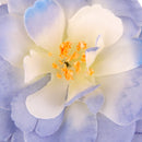Artificial Camellia Flower Heads Silk Rose Hair Clip Wedding Party Decor Blue Pack Of 10PCS