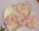 Artificial Camellia Flower Heads Silk Rose Hair Clip Wedding Party Decor Pink And Yellow Pack Of 10PCS