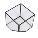 Cube Shaped Glass Terrarium Greenhouse Moss Miniature Home Office Shop Decor Clear S