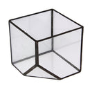 Cube Shaped Glass Terrarium Greenhouse Moss Miniature Home Office Shop Decor Clear S