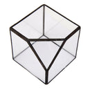 Cube Shaped Glass Terrarium Greenhouse Moss Miniature Home Office Shop Decor Clear S