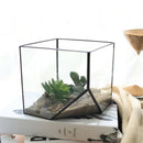 Cube Shaped Glass Terrarium Greenhouse Moss Miniature Home Office Shop Decor Clear S