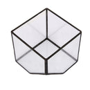 Cube Shaped Glass Terrarium Greenhouse Moss Miniature Home Office Shop Decor Clear S