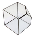 Cube Shaped Glass Terrarium Greenhouse Moss Miniature Home Office Shop Decor Clear L
