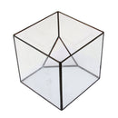 Cube Shaped Glass Terrarium Greenhouse Moss Miniature Home Office Shop Decor Clear L