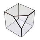 Cube Shaped Glass Terrarium Greenhouse Moss Miniature Home Office Shop Decor Clear L