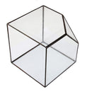 Cube Shaped Glass Terrarium Greenhouse Moss Miniature Home Office Shop Decor Clear L