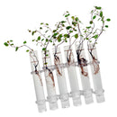 6Pieces Creative Glass Test Tubes Hanging Flower Bottle Micro-Landscape Planter Vase Pot