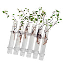 6Pieces Creative Glass Test Tubes Hanging Flower Bottle Micro-Landscape Planter Vase Pot
