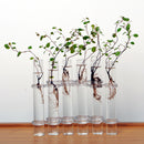 6Pieces Creative Glass Test Tubes Hanging Flower Bottle Micro-Landscape Planter Vase Pot