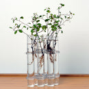 6Pieces Creative Glass Test Tubes Hanging Flower Bottle Micro-Landscape Planter Vase Pot