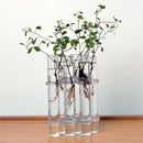 6Pieces Creative Glass Test Tubes Hanging Flower Bottle Micro-Landscape Planter Vase Pot