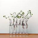 6Pieces Creative Glass Test Tubes Hanging Flower Bottle Micro-Landscape Planter Vase Pot