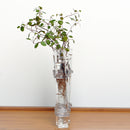 6Pieces Creative Glass Test Tubes Hanging Flower Bottle Micro-Landscape Planter Vase Pot