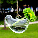 Clear Glass Wall Hanging Vase Bottle for Plant Flower Decorations--Bird