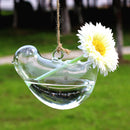 Clear Glass Wall Hanging Vase Bottle for Plant Flower Decorations--Bird