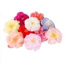 Generic 10PCS Artificial Camellia Silk Japonica Flower Heads for Wedding Party Home Garden Decor 6cm