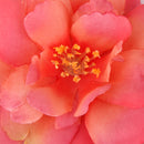 Generic 10PCS Artificial Camellia Silk Japonica Flower Heads for Wedding Party Home Garden Decor 6cm