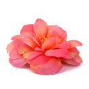 Generic 10PCS Artificial Camellia Silk Japonica Flower Heads for Wedding Party Home Garden Decor 6cm