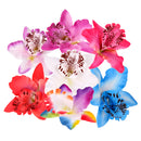 20Pieces 8cm Handmade Flower Silk Orchid Dendrobium Heads Bulk Floral Decor White