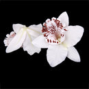 20Pieces 8cm Handmade Flower Silk Orchid Dendrobium Heads Bulk Floral Decor White