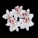 20Pieces 8cm Handmade Flower Silk Orchid Dendrobium Heads Bulk Floral Decor White
