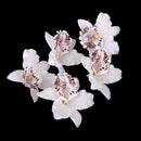 20Pieces 8cm Handmade Flower Silk Orchid Dendrobium Heads Bulk Floral Decor White