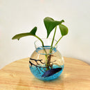 Clear Glass Flower Planter Vase Terrarium Container Fish Tank Table Decor