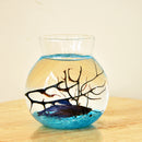 Clear Glass Flower Planter Vase Terrarium Container Fish Tank Table Decor