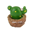 Miniature Resin Green Plant Dollhouse Ornament Craft Fairy DIY Bonsai Decor