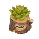 Miniature Resin Green Plant Dollhouse Ornament Craft Fairy DIY Bonsai Decor