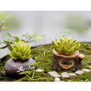 Miniature Resin Green Plant Dollhouse Ornament Craft Fairy DIY Bonsai Decor
