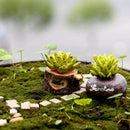 Miniature Resin Green Plant Dollhouse Ornament Craft Fairy DIY Bonsai Decor